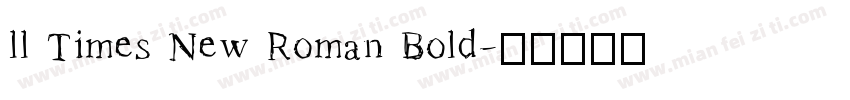 ll Times New Roman Bold字体转换